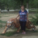  ,   , 59 ,  