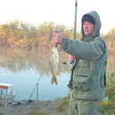 ���������� ����, ���� ������� �������, 50 ���, ������������ ��� ������, ����� � ���������, c�������� ���������