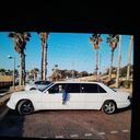 ���������� �����, ���� ������� ������, 43 ����, ������������ ��� c�������� ���������