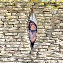  Belsize Park,   Irina, 60 ,     , c 