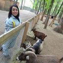 ���������� �������, ���� ������� ������, 36 ���, ������������ ��� ������, ����� � ���������, c�������� ���������