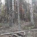 ���������� ����, ���� ������� Ruslan, 42 ����, ������������ ��� ������, ����� � ���������