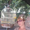  ,   , 50 ,   ,   , c 