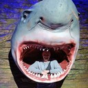 ���������� �������, ���� ������� �����, 29 ���, ������������ ��� ������, ����� � ���������