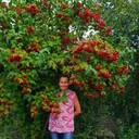 ���������� ���������, ���� ������� �������, 61 ���, ������������ ��� ������, ����� � ���������