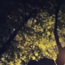 ���������� ������, ���� ����� ������, 23 ����, ������������ ��� ������, ����� � ���������, c�������� ���������