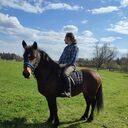 ���������� �����, ���� ������� ����, 35 ���, ������������ ��� ������, ����� � ���������