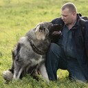 ���������� ������, ���� ������� �����, 44 ����, ������������ ��� ������, ����� � ���������