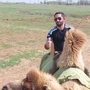 ���������� ������, ���� ������� ����, 36 ���, ������������ ��� ������, ����� � ���������