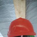 ���������� ������, ���� ������� ���������, 50 ���, ������������ ��� ������, ����� � ���������