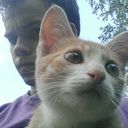 ���������� ������, ���� ������� ������, 31 ���, ������������ ��� ������, ����� � ���������, c�������� ���������