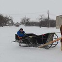  ,   Viktor, 53 ,   ,   