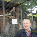 ���������� �����, ���� ������� Pachkeva, 46 ���, ������������ ��� ������, ����� � ���������, c�������� ���������