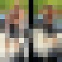 ���������� ������, ���� ����� Maxim, 21 ���, ������������ ��� c�������� ���������