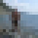  -,   , 62 ,   