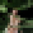 ���������� ���������, ���� ������� �������, 27 ���, ������������ ��� ������, ����� � ���������