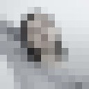 ���������� ������, ���� ������� �����, 32 ����, ������������ ��� ������, ����� � ���������, c�������� ���������