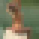 ���������� ���������, ���� ������� SexLife, 40 ���, ������������ 