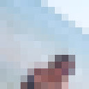  ,   , 55 ,   