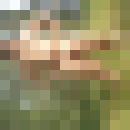  ,   , 60 ,   