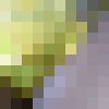  ,   Syvan19, 65 ,   ,   , c , 