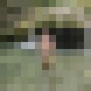 ���������� ������, ���� ������� Maxim, 31 ���, ������������ ��� ������, ����� � ���������