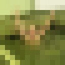  -,   , 47 ,   c 