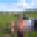  ,   , 47 ,     , c 