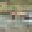  ,   Ma, 37 ,   ,   