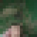  -,   , 40 ,   ,   , 