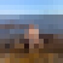 ���������� �����, ���� ������� �������, 38 ���, ������������ ��� ������, ����� � ���������