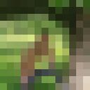 ���������� ������-��-����, ���� ������� ����, 36 ���, ������������ ��� c�������� ���������