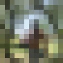 ���������� ����������, ���� ������� ������, 100 ���, ������������ ��� ������, ����� � ���������