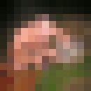  ,   RASH, 36 ,     , c 