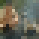  ,   0502995161, 43 ,   