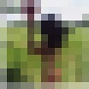 ���������� ������, ���� ������� ������, 33 ����, ������������ ��� ������, ����� � ���������, c�������� ���������