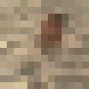  ,   Aslan, 37 ,   