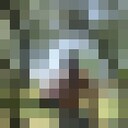 ���������� ����������, ���� ������� ������, 100 ���, ������������ ��� ������, ����� � ���������