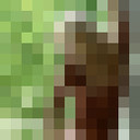 ���������� �����, ���� ������� �����, 37 ���, ������������ ��� ������, ����� � ���������, c�������� ���������