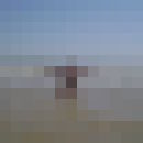  ,   , 45 ,   