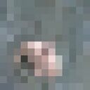  ,   Hesenov, 31 ,   ,   