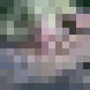  ,   Kirill41, 38 ,   