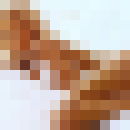  ,   , 32 ,   