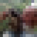 ���������� ������� ������, ���� ������� ������, 48 ���, ������������ ��� ������, ����� � ���������, c�������� ���������