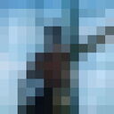  ,   , 51 ,   c 