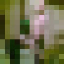  ,   , 42 ,   ,   , c , 