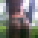  ,   Alla_com, 37 ,   ,   , c 