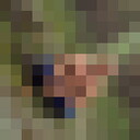  ,   , 44 ,     , c , 