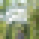 ���������� �����-���������, ���� ������� Adil, 32 ����, ������������ ��� ����� � ���������, c�������� ���������