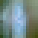  ,   Zhan, 37 ,   ,   , c , 